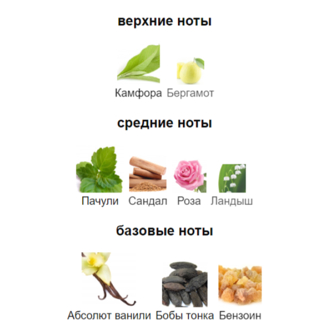 LA SULTANE DE SABA VOYAGE SUR LA ROUTE DES EPICES