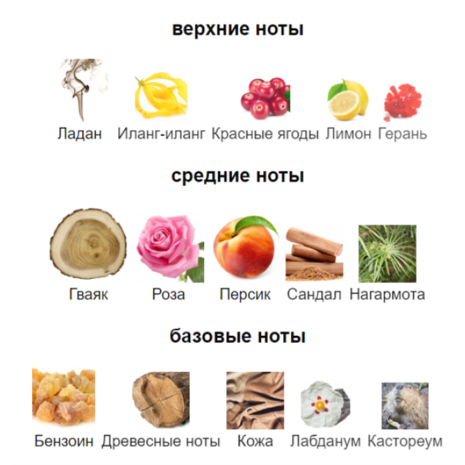 LA SULTANE DE SABA BOIS DE OUD