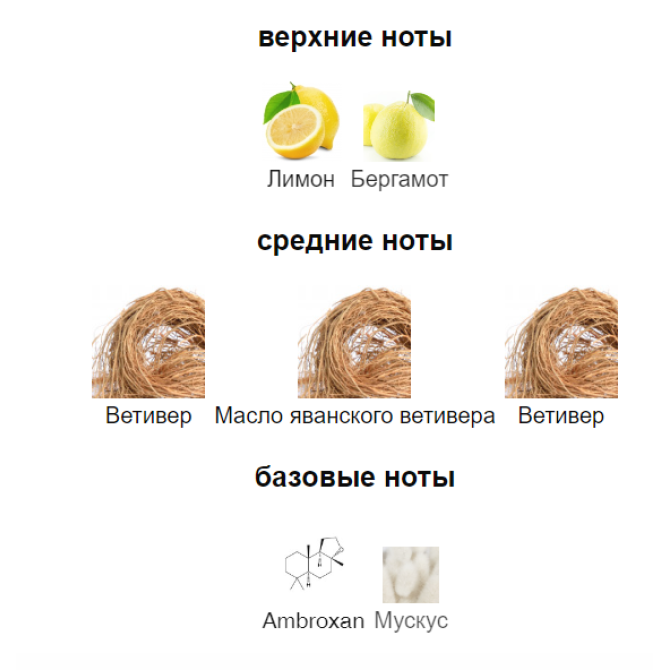 JULIETTE HAS A GUN EX VETIVER