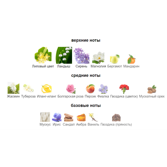 ELIZABETH ARDEN 5TH AVENUE