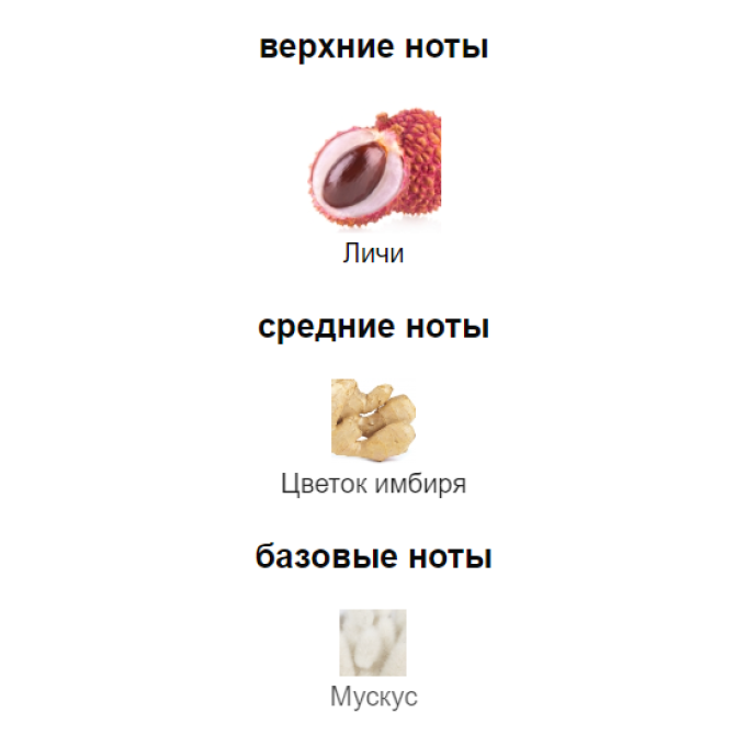 HERMES TUTTI TWILLY D'HERMES