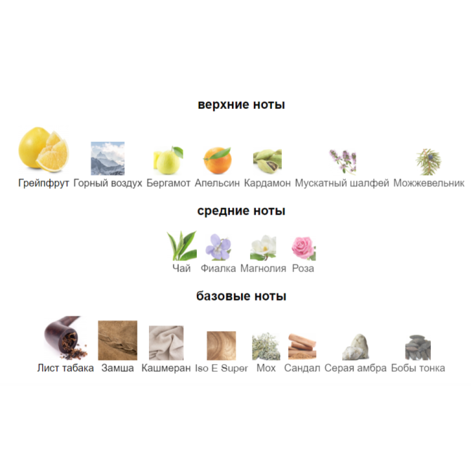 ORMONDE JAYNE MONTABACO VERANO