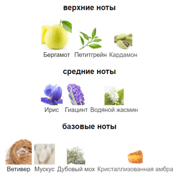 BANANA REPUBLIC LINEN VETIVER