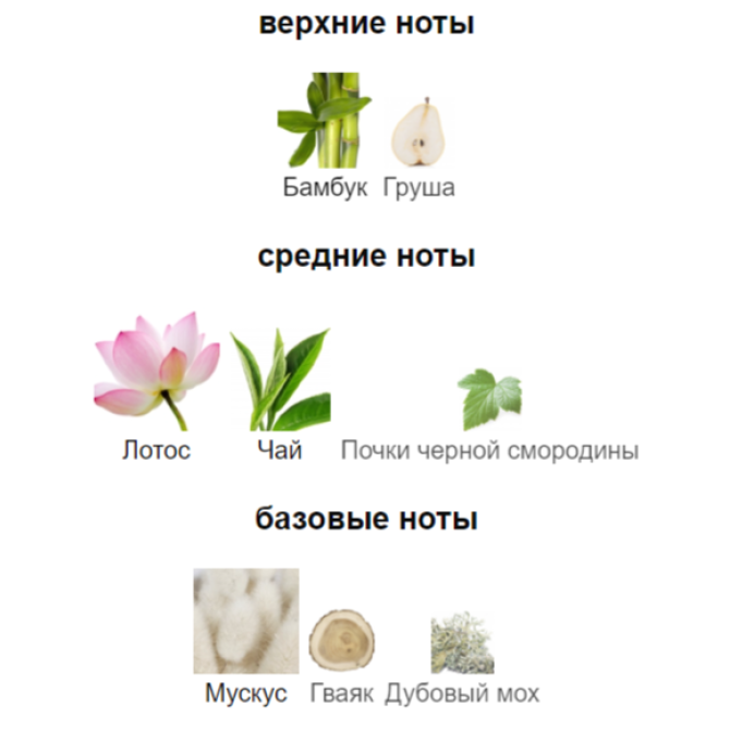 BVLGARI OMNIA CRYSTALLINE