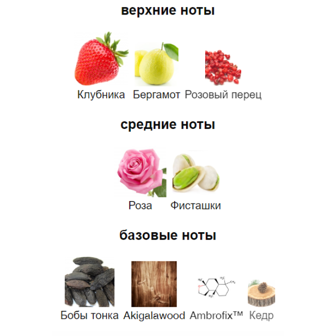 EX NIHILO SPIKY MUSE