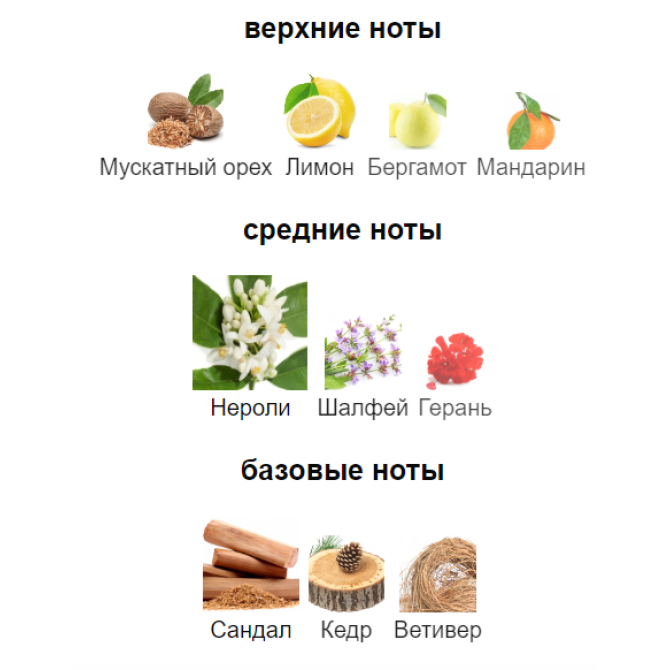 ATTAR COLLECTION SLATE BLUE