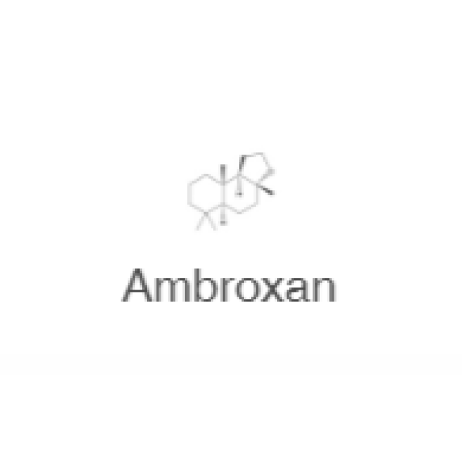 ESCENTRIC MOLECULES MOLECULE 02