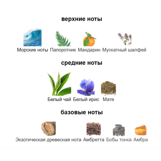 ELIZABETH ARDEN WHITE TEA