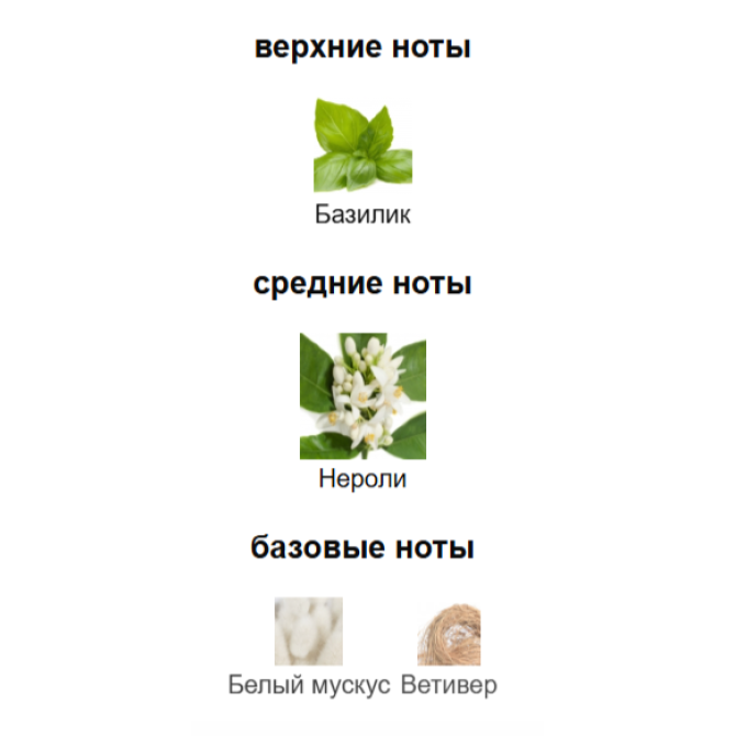 JO MALONE BASIL & NEROLI