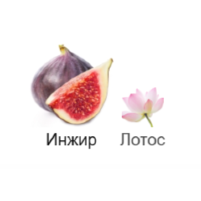 JO MALONE FIG & LOTUS FLOWER