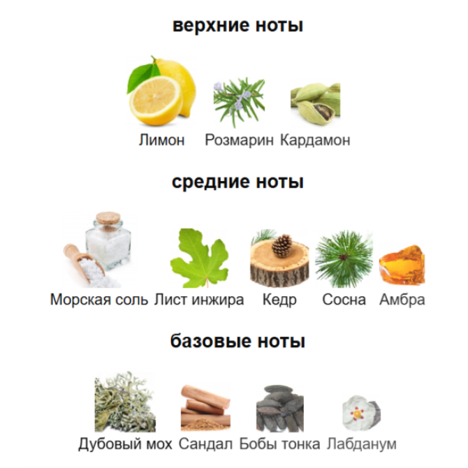 MANCERA CINQUE TERRE