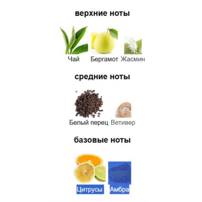 ATTAR COLLECTION CAPELLA