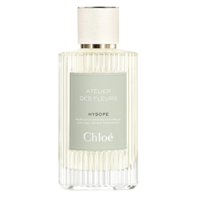 CHLOE ATELIER DES FLEURS HYSOPE