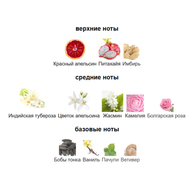 ELLA K PARFUMS CAMELIA K