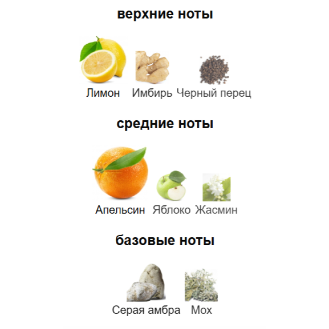 LES SOEURS DE NOE CITRUS POETRY