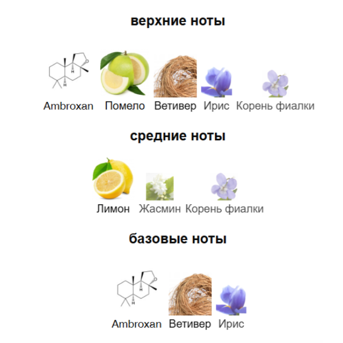 RUDROSS CITRUS MOLECULE
