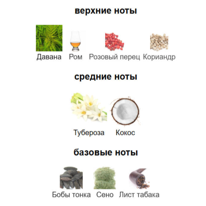 XERJOFF QUATTRO PIZZI