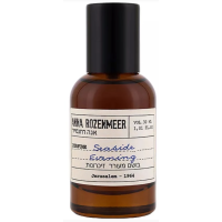 ANNA ROZENMEER SEASIDE EVENING