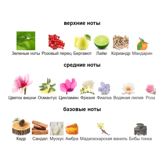 ORMONDE JAYNE SAKURA