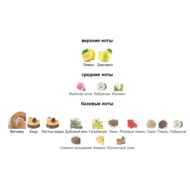 ROJA DOVE VETIVER POUR HOMME PARFUM COLOGNE