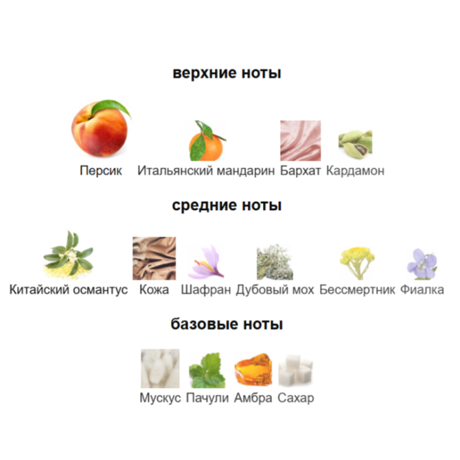 VILHELM PARFUMERIE CHIMILKA