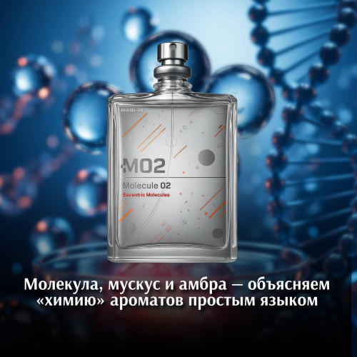 Молекула, мускус и амбра — объясняем «химию» ароматов простым языком.