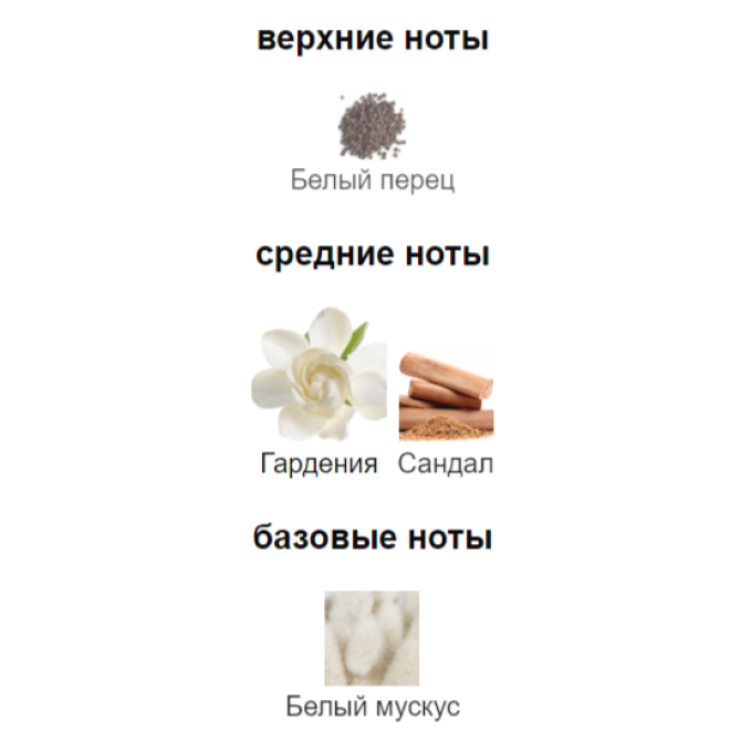 ATTAR COLLECTION MUSK KASHMIR PARFUM 2025