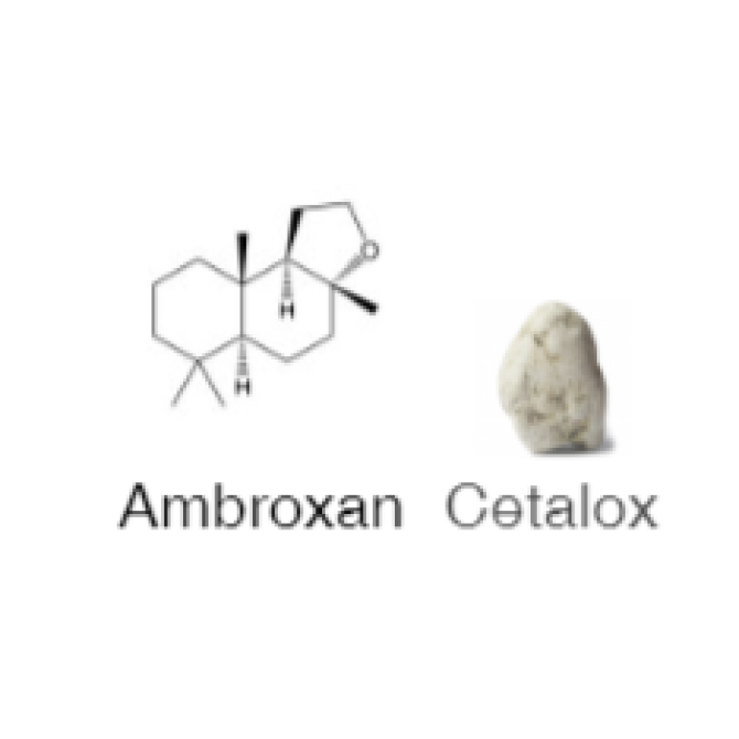 JULIETTE HAS A GUN NOT A PERFUME