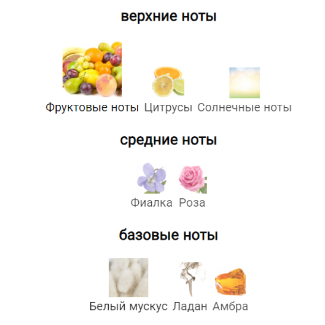 MONTALE VELVET FANTASY