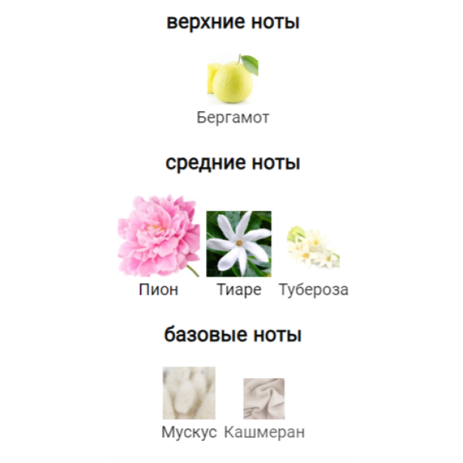 EX NIHILO IN PARADISE RIVIERA