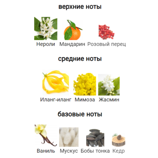 EX NIHILO VESPER GLITZ