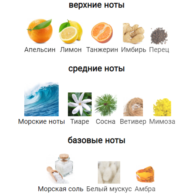 MANCERA FRENCH RIVIERA