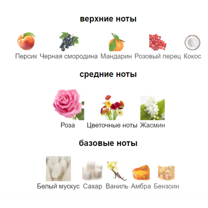 MANCERA ROSES GREEDY