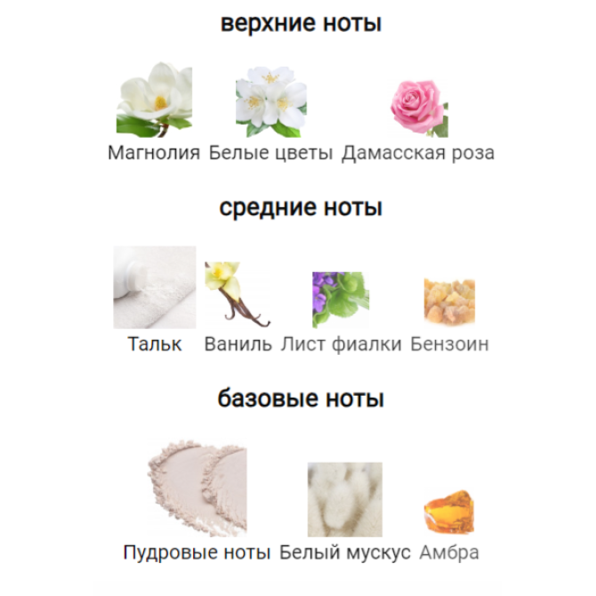 ATTAR COLLECTION AREEJ