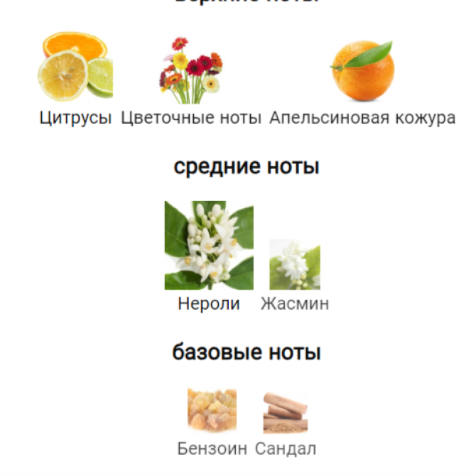 CHANEL PARIS - RIVIERA