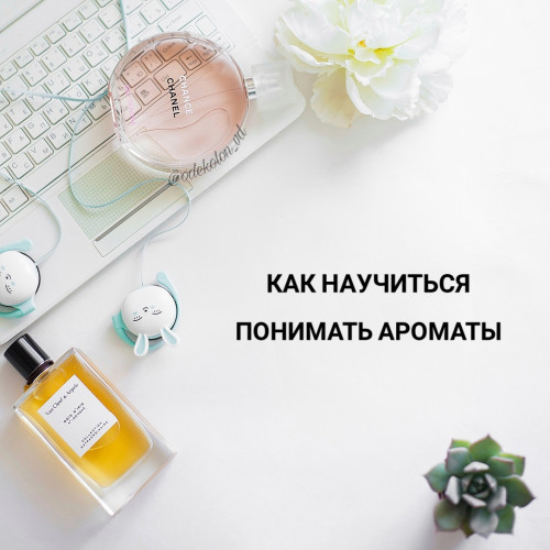 Как научиться понимать ароматы? 