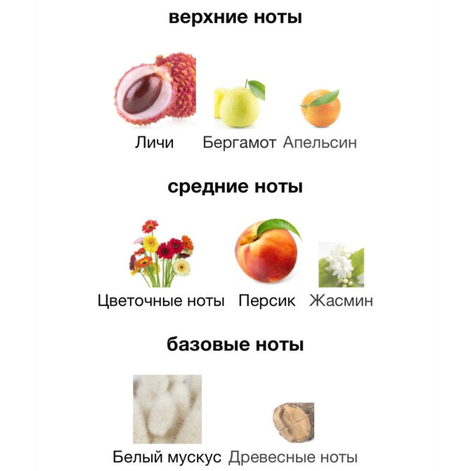 ATTAR COLLECTION AZORA