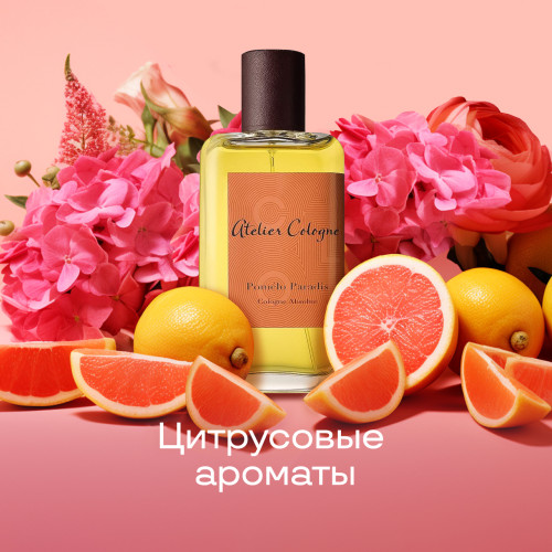 Магия цитрусов: особенности, ноты и популярные ароматы Магия цитрусов: особенности, ноты и популярные ароматы