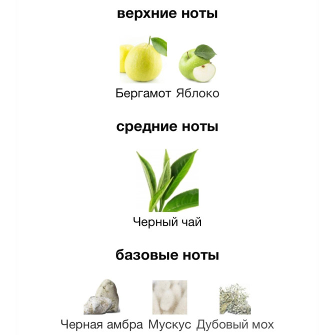 VILHELM PARFUMERIE DEAR POLLY