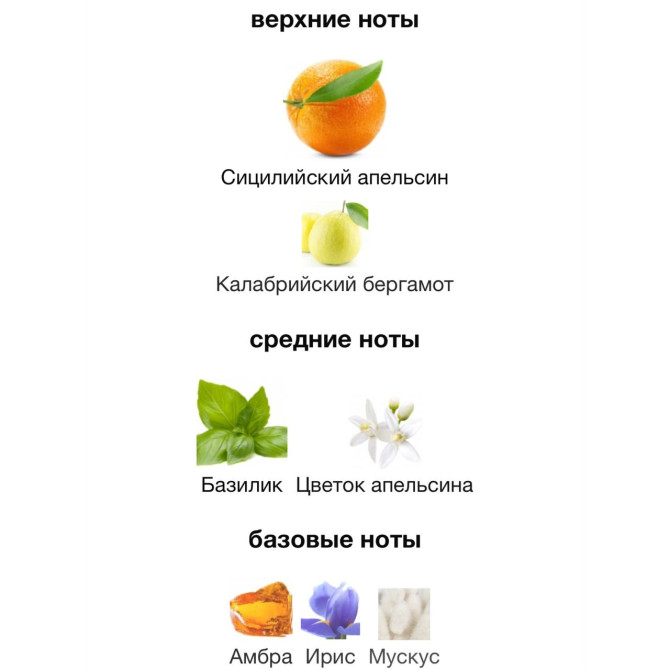 DOLCE & GABBANA ORANGE