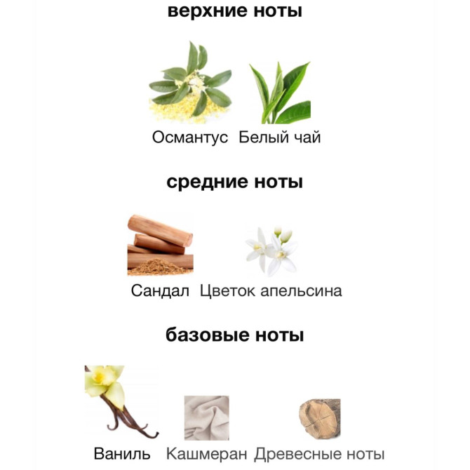 HAUTE FRAGRANCE COMPANY DEVIL'S INTRIGUE