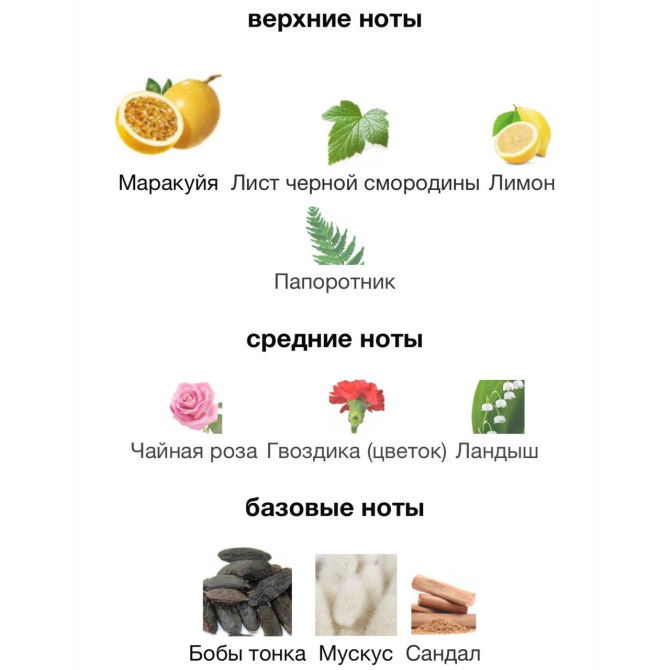 TIZIANA TERENZI CASSIOPEA