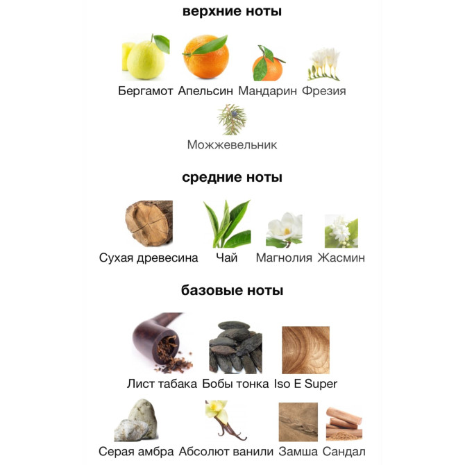 ORMONDE JAYNE MONTABACO CUBA