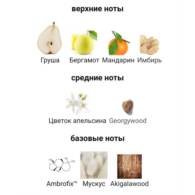 EX NIHILO BLUE TALISMAN 